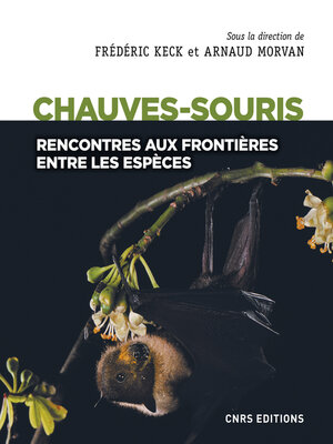 cover image of Chauves-souris--Rencontres aux frontières entre les espèces